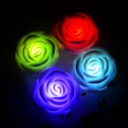 LED Ružička